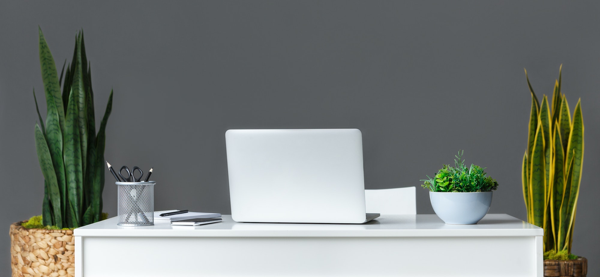 Building a Website in 2025? Here’s What Happens When You Don’t